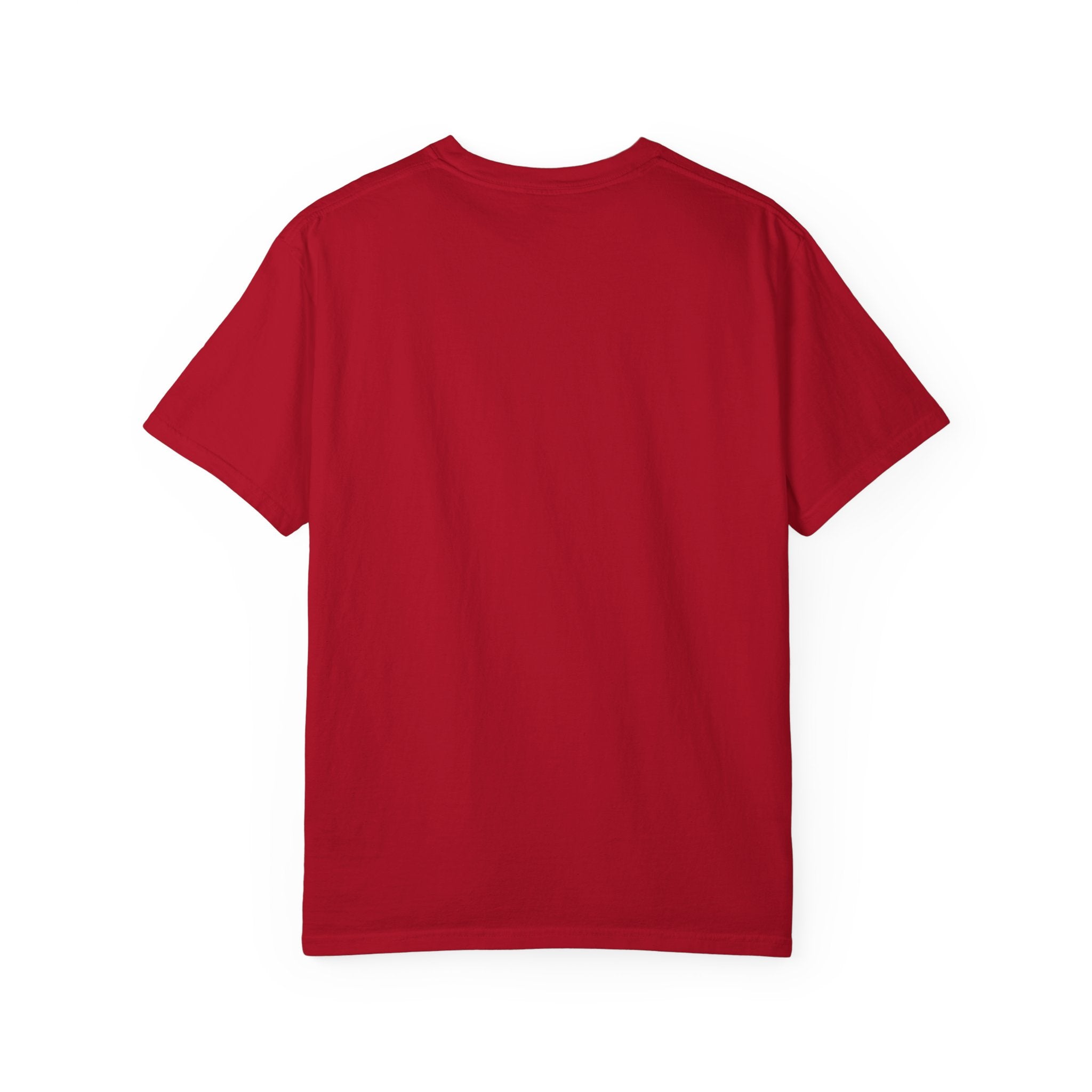 ABC Little School Unisex Garment-Dyed T-Shirt, Kids Learning Apparel, Back to School Shirt, Educational Gift, Fun Classroom Wear