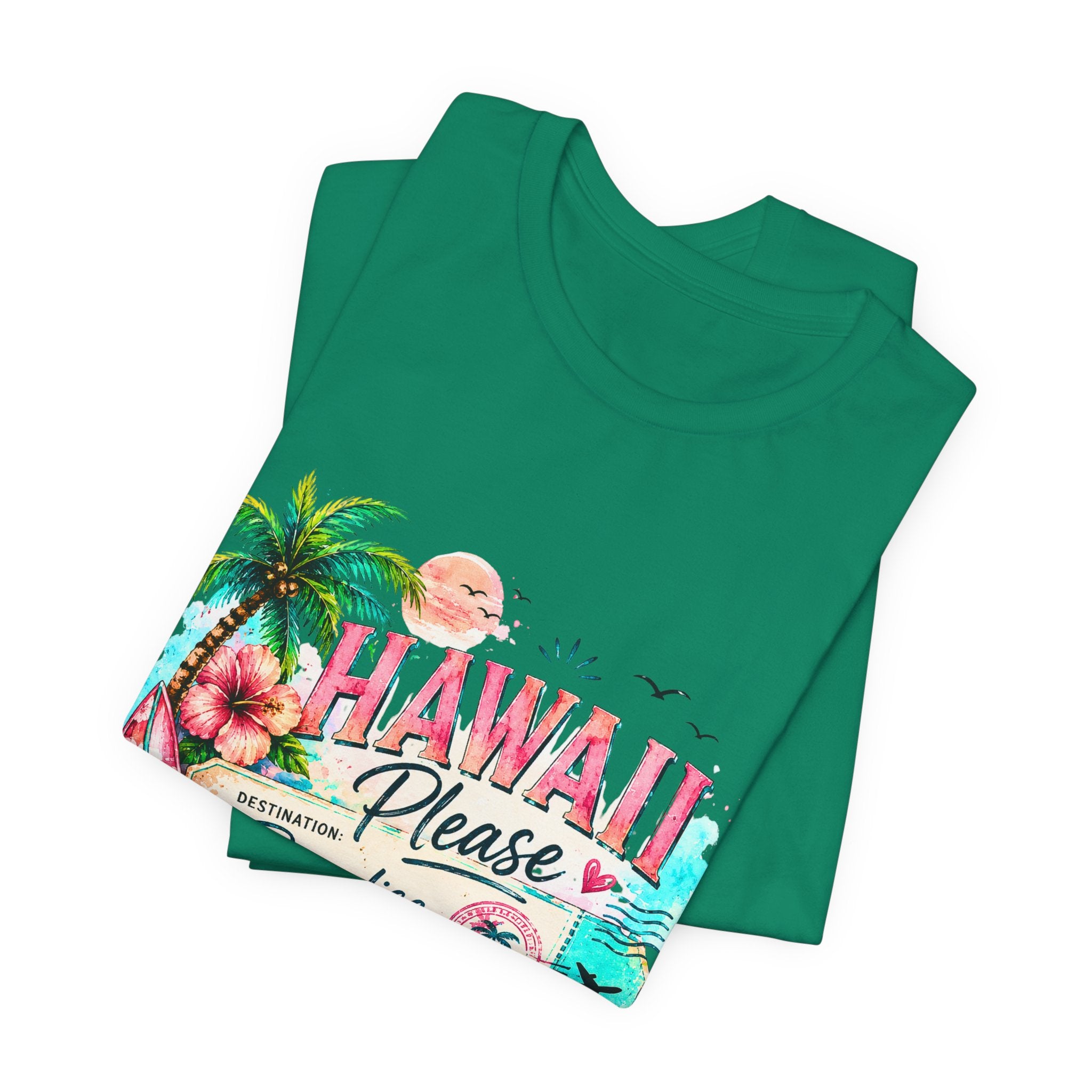 Hawaii Please Paradise Vintage Surf T-Shirt