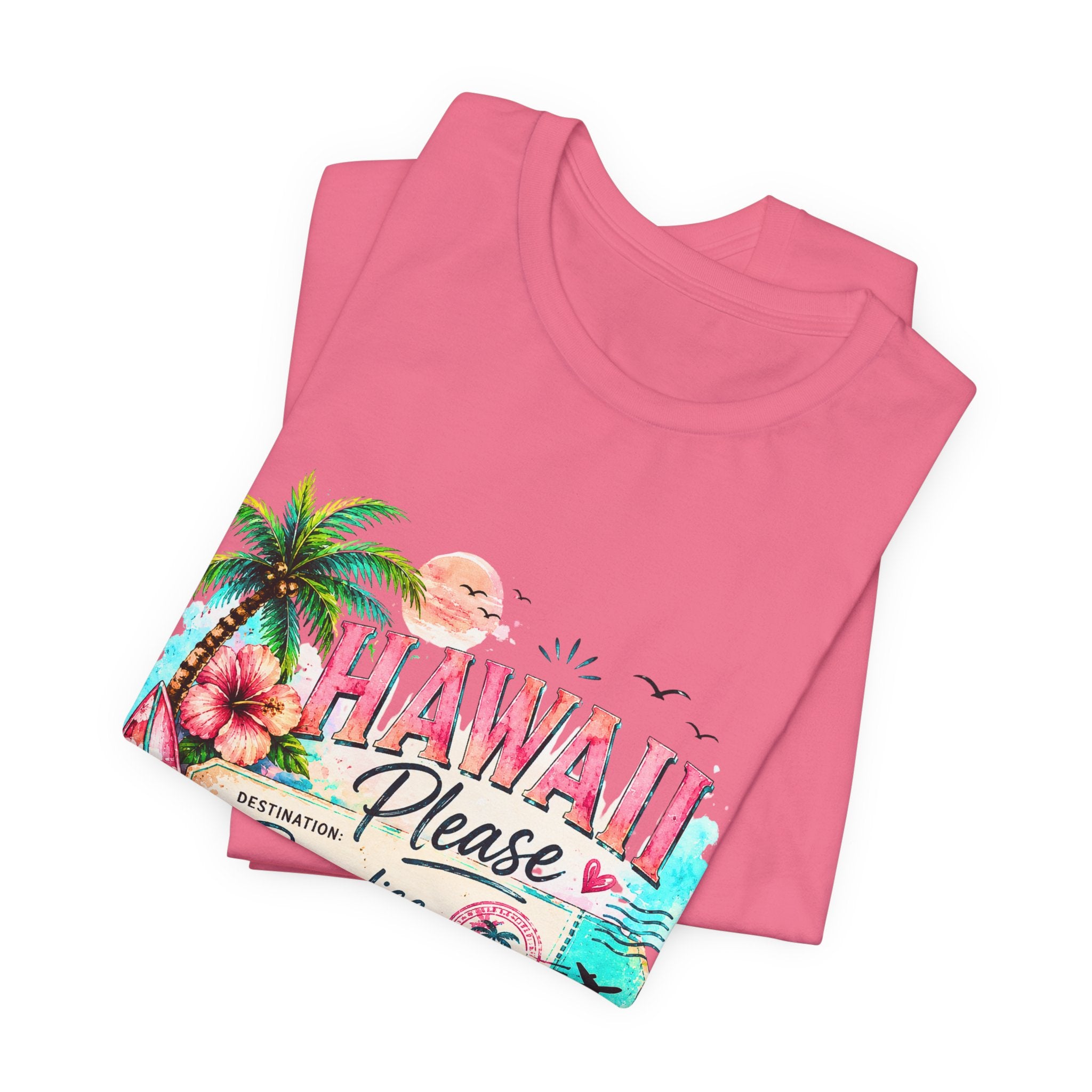 Hawaii Please Paradise Vintage Surf T-Shirt