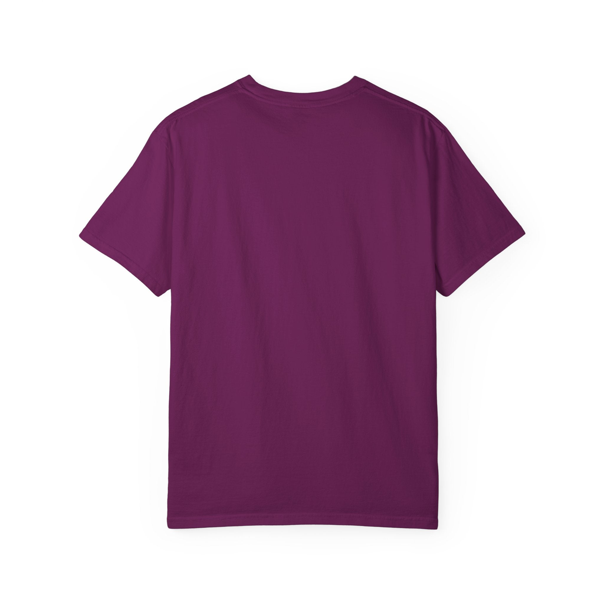 ABC Little School Unisex Garment-Dyed T-Shirt, Kids Learning Apparel, Back to School Shirt, Educational Gift, Fun Classroom Wear