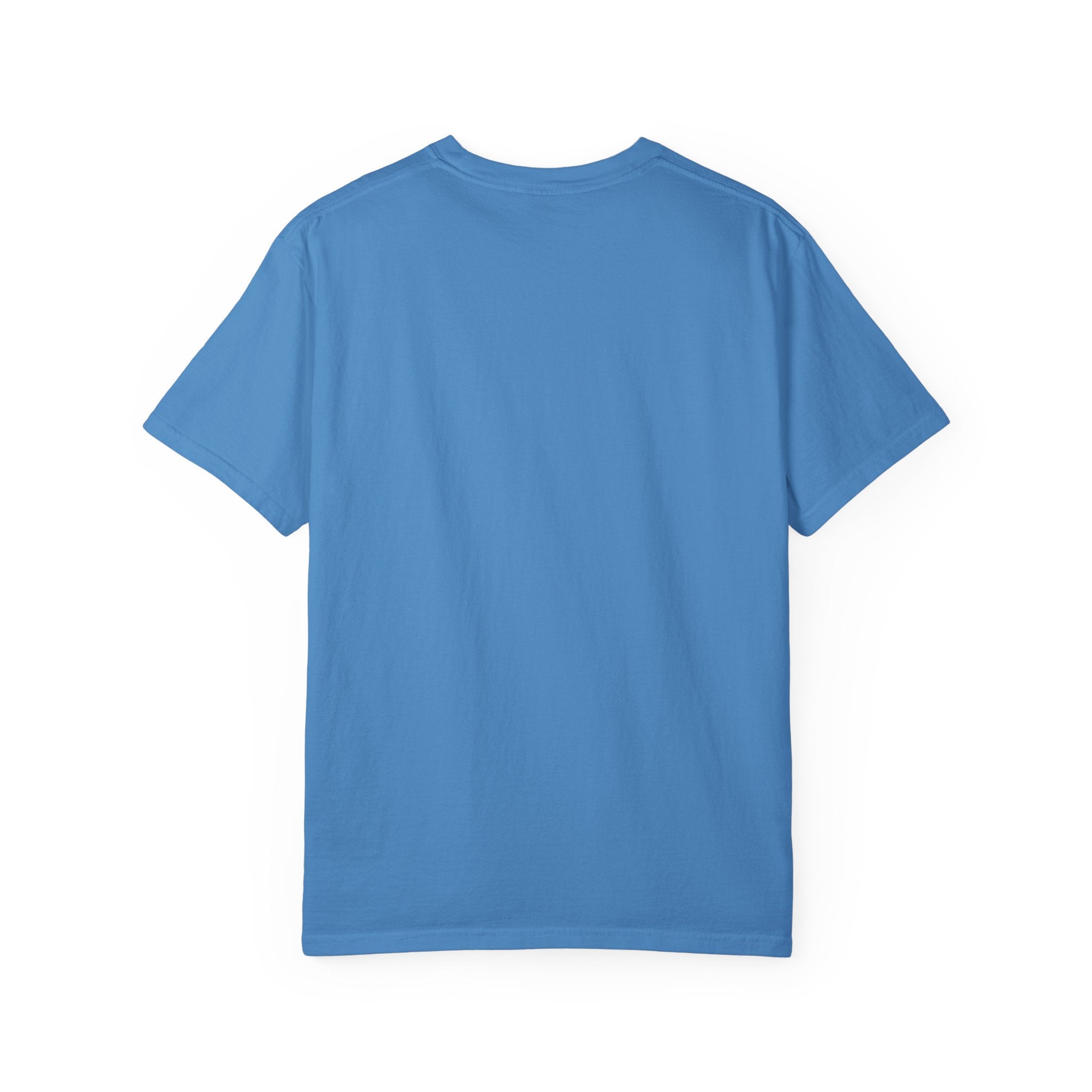 ABC Little School Unisex Garment-Dyed T-Shirt, Kids Learning Apparel, Back to School Shirt, Educational Gift, Fun Classroom Wear