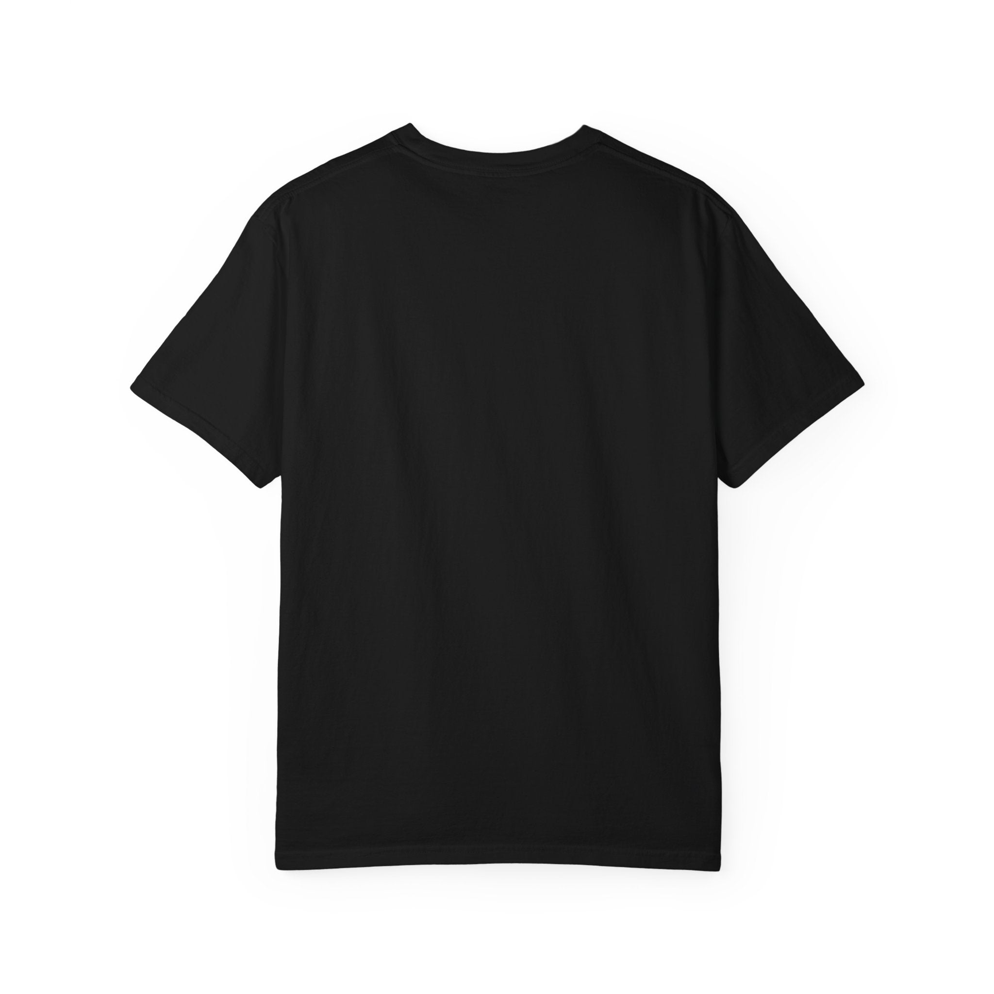 ABC Little School Unisex Garment-Dyed T-Shirt, Kids Learning Apparel, Back to School Shirt, Educational Gift, Fun Classroom Wear