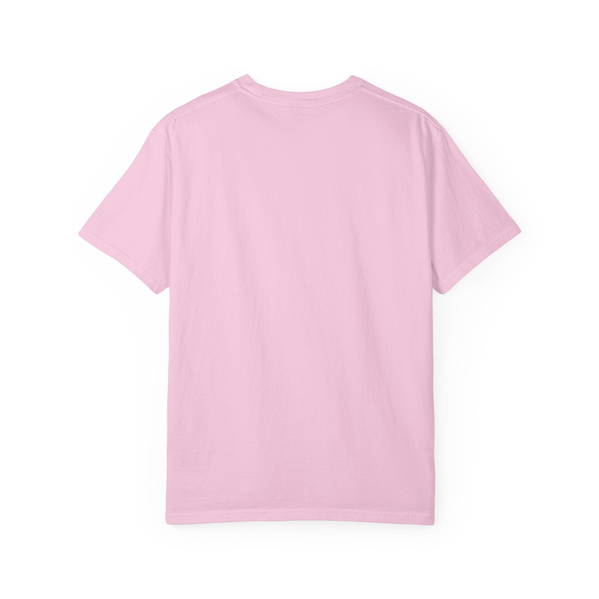 ABC Little School Unisex Garment-Dyed T-Shirt, Kids Learning Apparel, Back to School Shirt, Educational Gift, Fun Classroom Wear