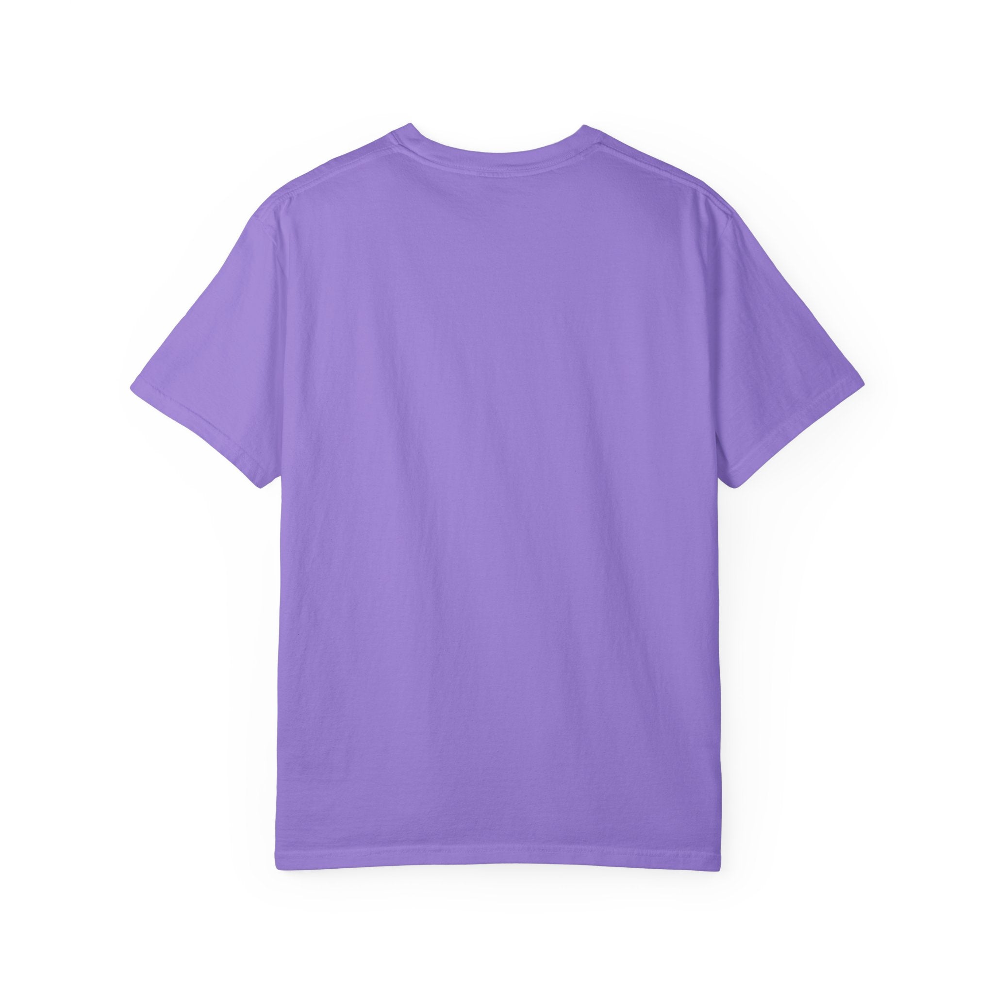 ABC Little School Unisex Garment-Dyed T-Shirt, Kids Learning Apparel, Back to School Shirt, Educational Gift, Fun Classroom Wear